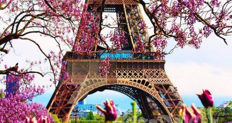 Поездка 2017, любовь, работа,