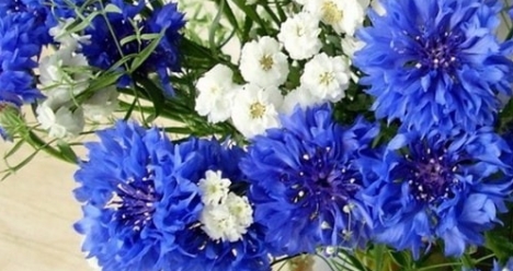 Моя вторая половинка