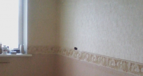 желаю чтоб задуманное свершилось быстро, гладко и успешно