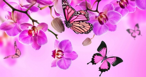 удача во всех начинаниях