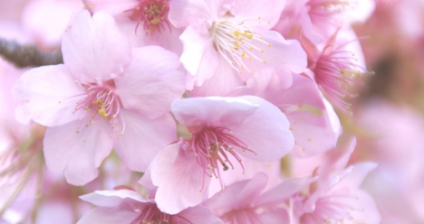 Мы счастливая семейная пара