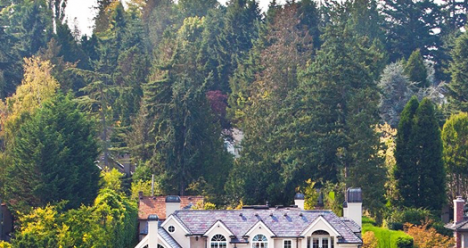 Хочу удачно выйти замуж в этом году и быть счастливой!