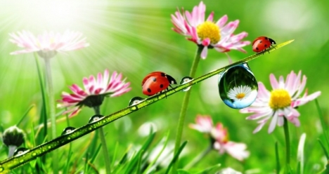 Ю.М. оставит моего мужа в покое