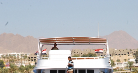 свой бизнес в америке