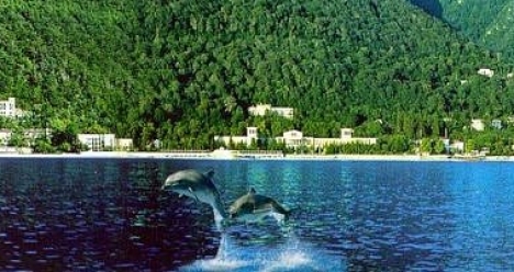 мое счастливое путешествие