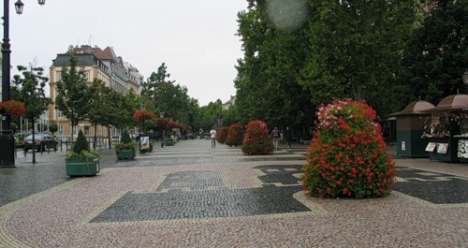 Жить и учится в Европе