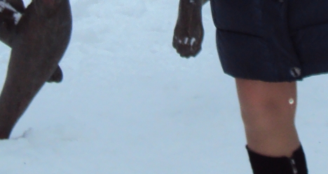 Гармония во всем любовь деньги спокойствие