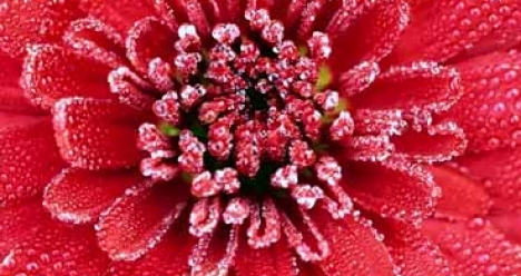 здоровье всем и мне