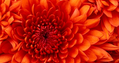 Любимая высокооплачиваемая работа