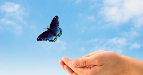 расчитаться с долгами по кредитам