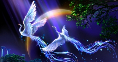 Моя вторая половинка.