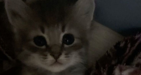 Хочу новую одежду