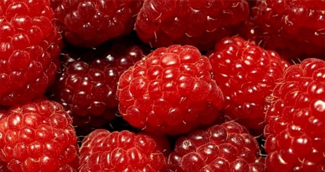 «Высокооплачиваемая работа»