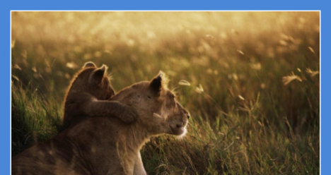 Моя вторая половинка