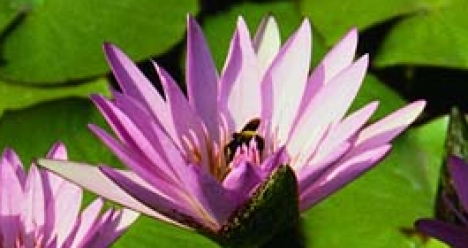 Любимая работа